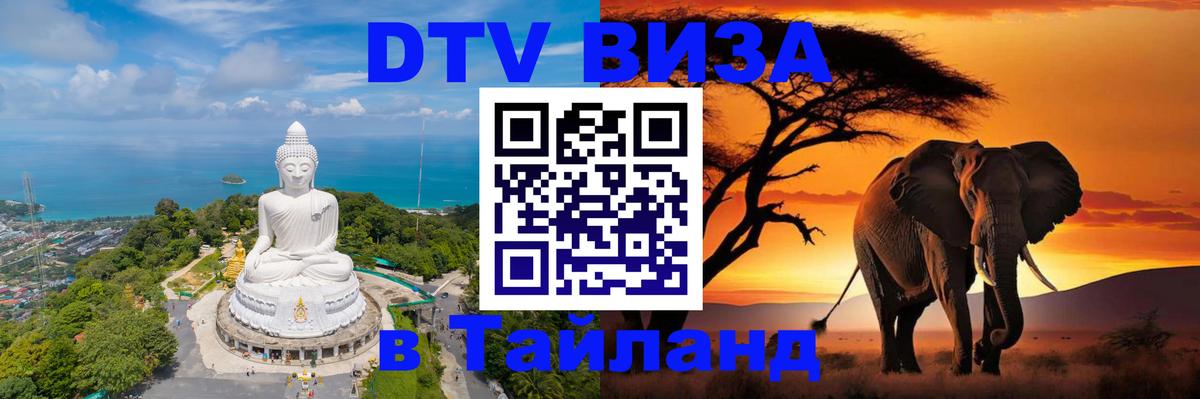 Сколько стоит DTV виза — актуальные цены, оформление даже без документов - 